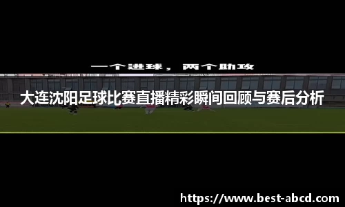 大连沈阳足球比赛直播精彩瞬间回顾与赛后分析