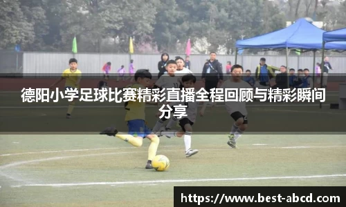 杏耀登录